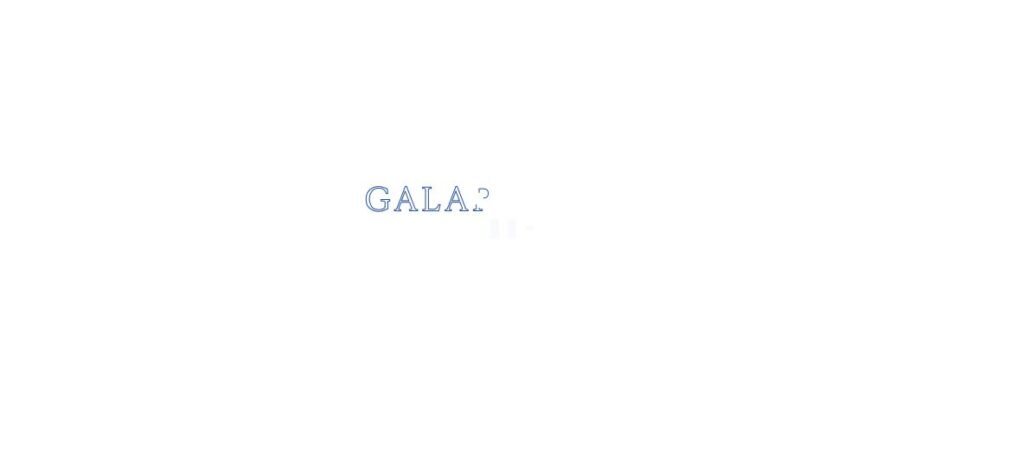 ギャラップ(GALAP税理士法人)千葉支店