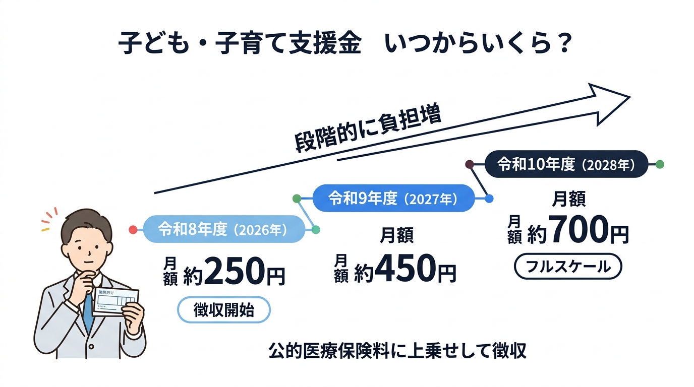 独身税（子ども・子育て支援金）2026年4月から徴収開始！保険料の仕組みを税理士が解説 - 段階的な負担増タイムライン